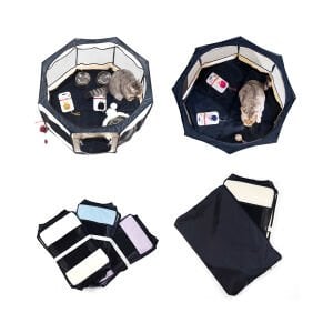 Pawingo Kedi ve Köpek Doğum Evi (Bordo)