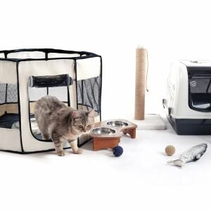 Pawingo Kedi ve Köpek Doğum Evi (Fosforlu Yeşil)