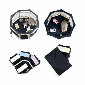 Pawingo Kedi ve Köpek Doğum Evi (Turuncu)