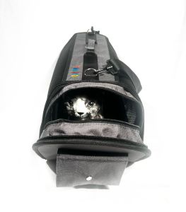 Flybag Uçak İçi Evcil Hayvan Seyahat Çantası